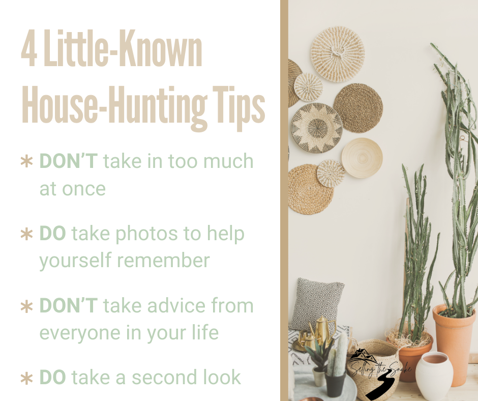 4 Little Known House Hunting Tips